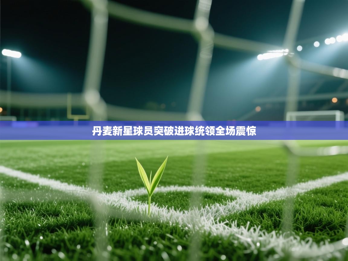 丹麦新星球员突破进球统领全场震惊  第1张