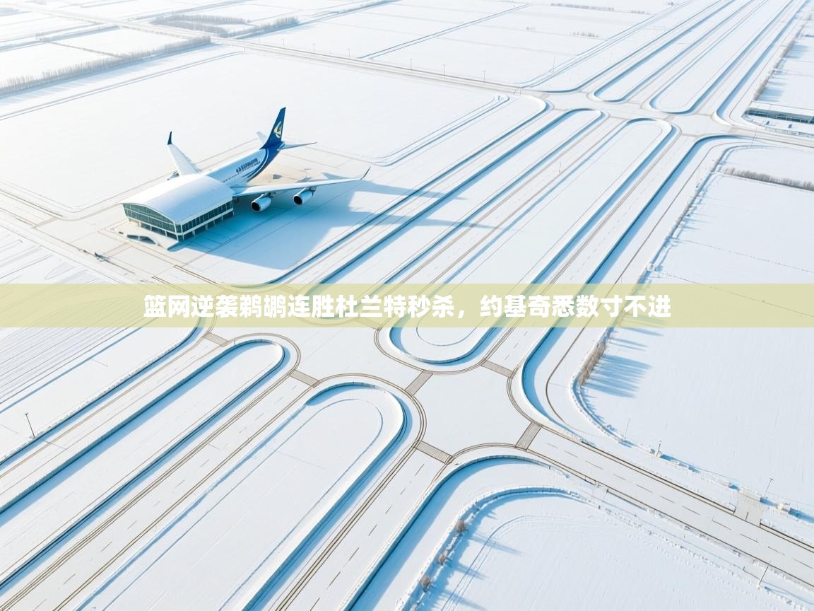 篮网逆袭鹈鹕连胜杜兰特秒杀,约基奇悉数寸不进 第1张