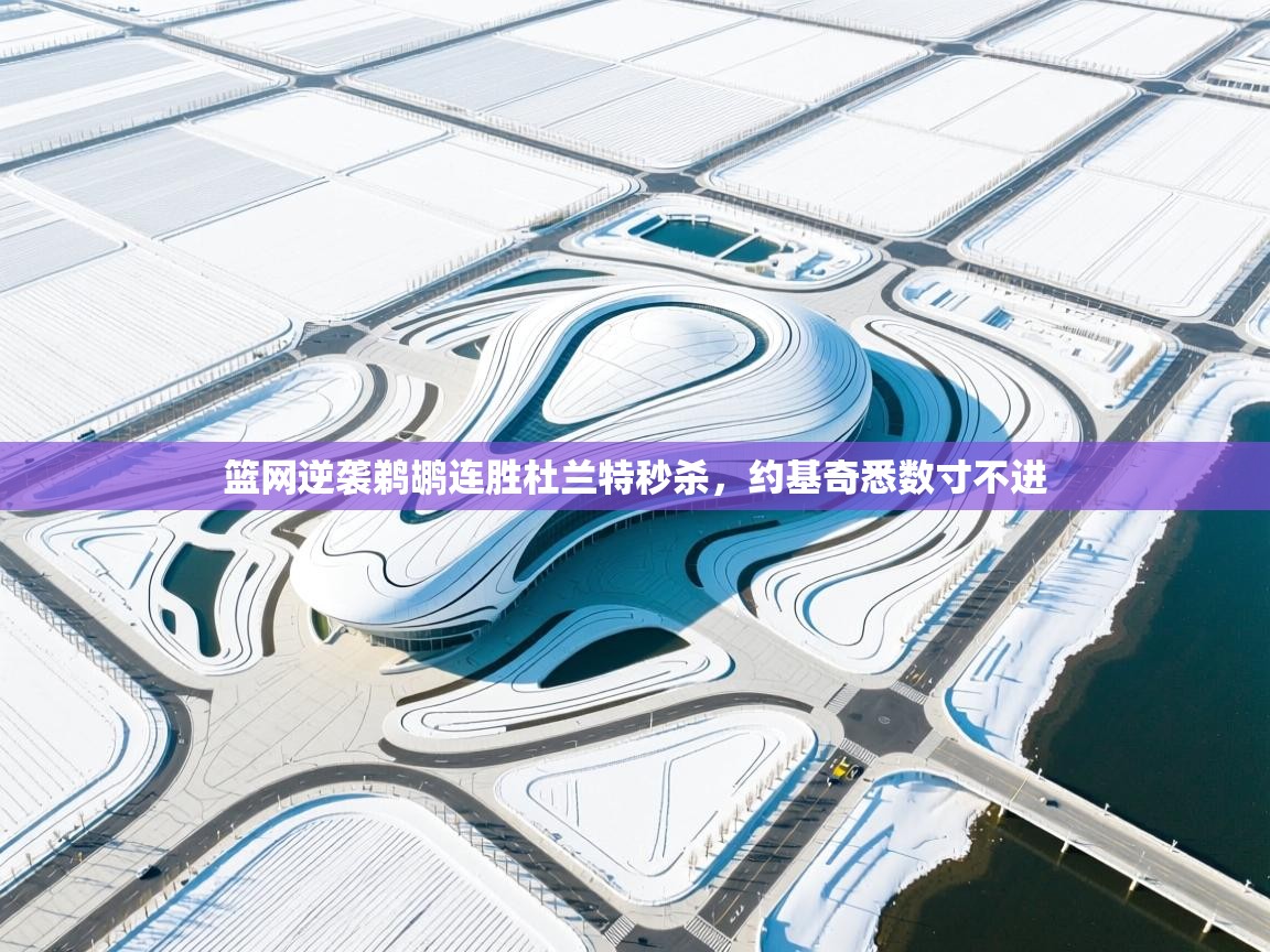 篮网逆袭鹈鹕连胜杜兰特秒杀,约基奇悉数寸不进 第2张