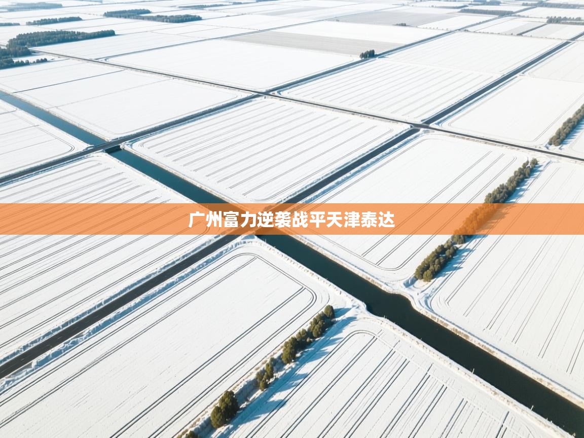 广州富力逆袭战平天津泰达  第1张