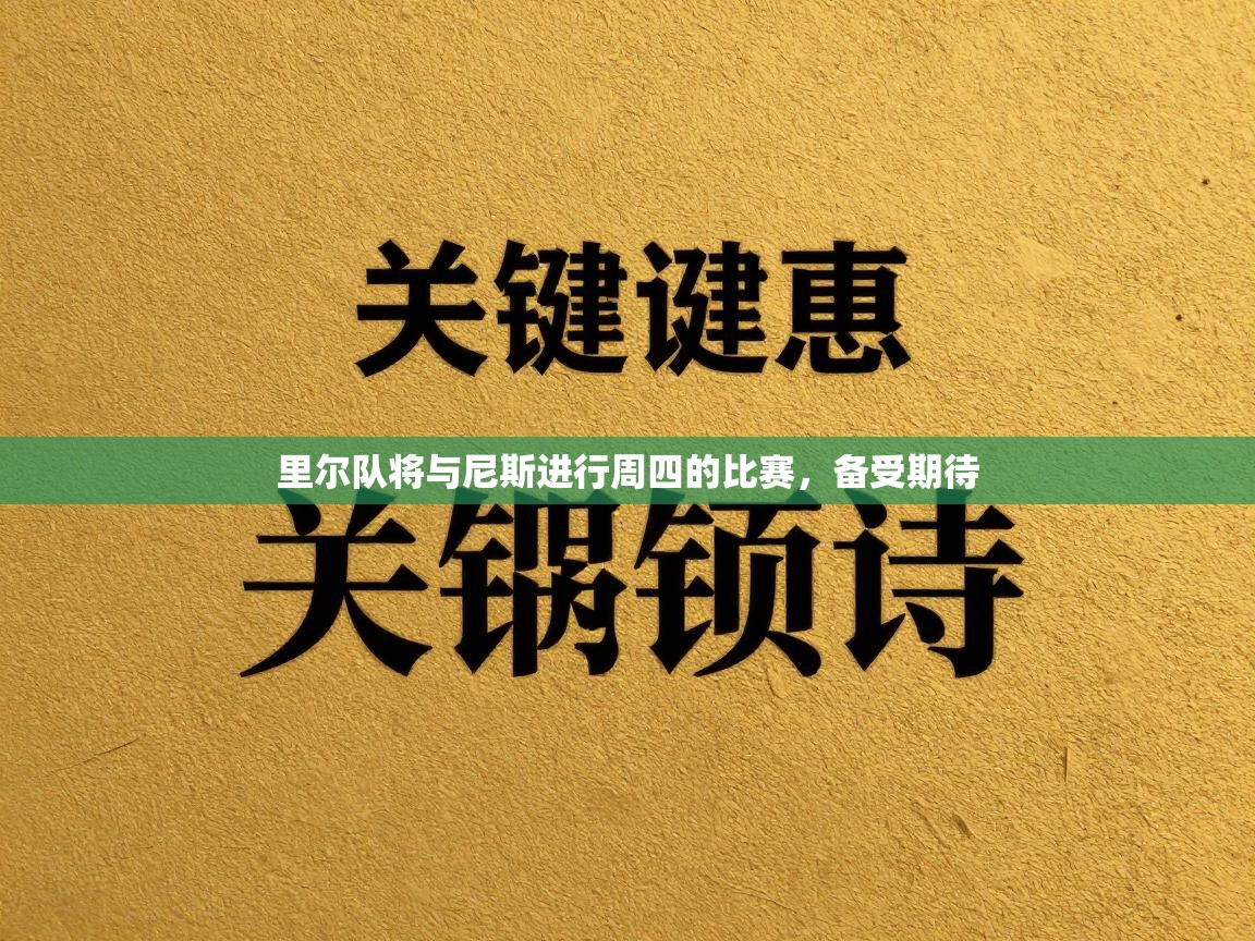 里尔队将与尼斯进行周四的比赛，备受期待  第2张