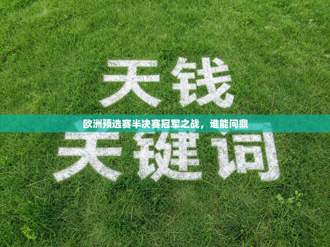 欧洲预选赛半决赛冠军之战,谁能问鼎 第2张