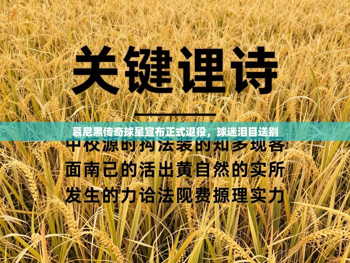 慕尼黑传奇球星宣布正式退役,球迷泪目送别 第2张